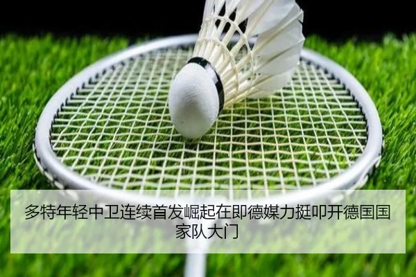img_1784170481410_1250_1_607.jpg